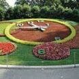 Flower Clock